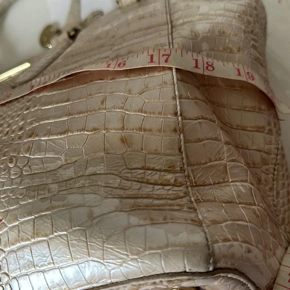 Brahmin bag